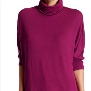 Madison and Berkeley woman’s turtle neck pullover